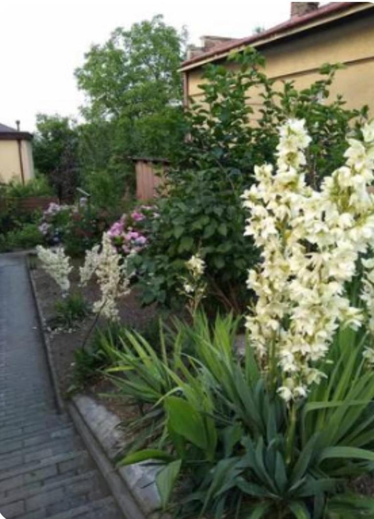 Retro House Ogrod Prywatny Parking X 2 I Stacja Ladowania Parter Przemyśl